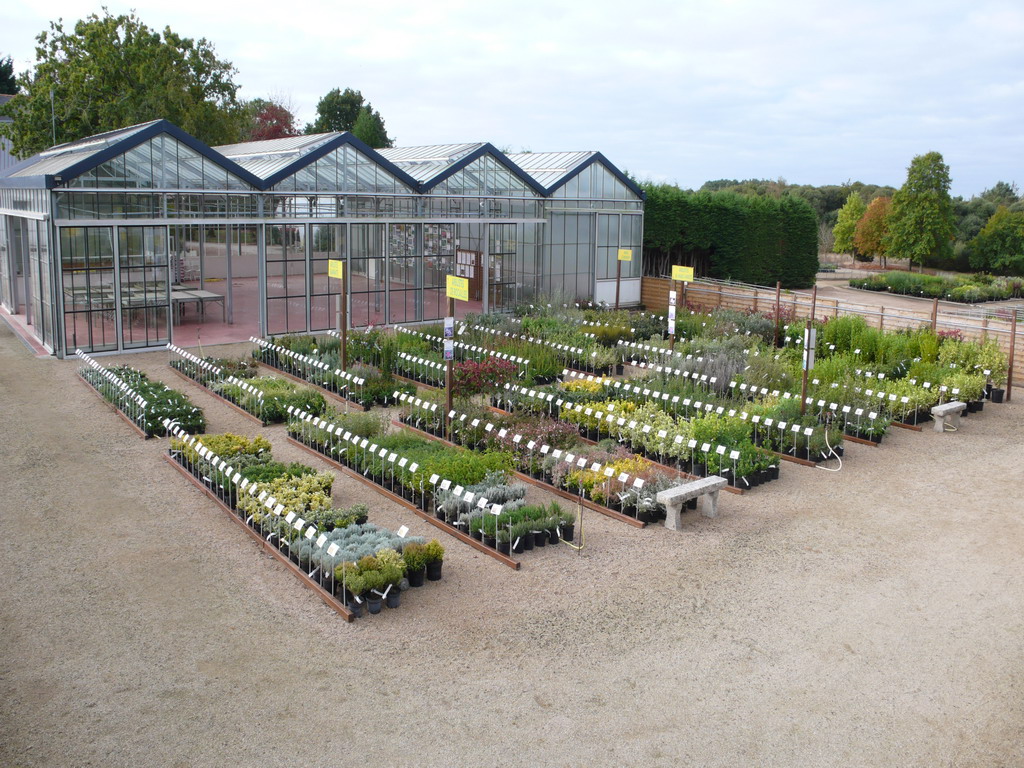 Exposition-vente après approvisionnement des plantes de septembre